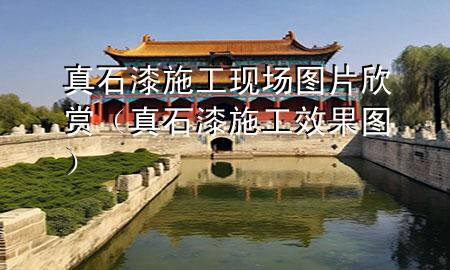 真石漆施工現(xiàn)場(chǎng)圖片欣賞（真石漆施工效果圖）