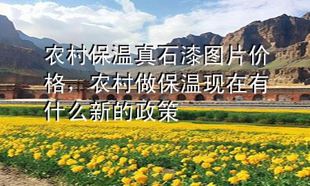 農村保溫真石漆圖片價格，農村做保溫現(xiàn)在有什么新的政策