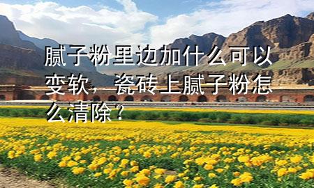 膩子粉里邊加什么可以變軟，瓷磚上膩子粉怎么清除？