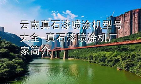 云南真石漆噴涂機(jī)型號大全-真石漆噴涂機(jī)廠家簡介