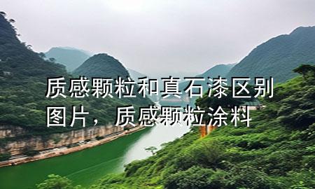 質(zhì)感顆粒和真石漆區(qū)別圖片，質(zhì)感顆粒涂料