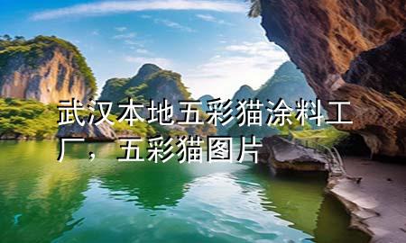 武漢本地五彩貓涂料工廠，五彩貓圖片