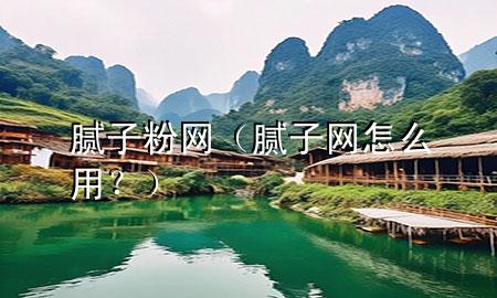 膩?zhàn)臃?網(wǎng)（膩?zhàn)泳W(wǎng)怎么用？）
