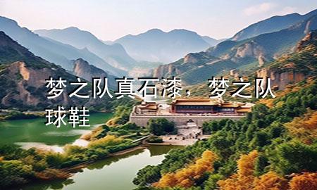 夢(mèng)之隊(duì)真石漆，夢(mèng)之隊(duì)球鞋